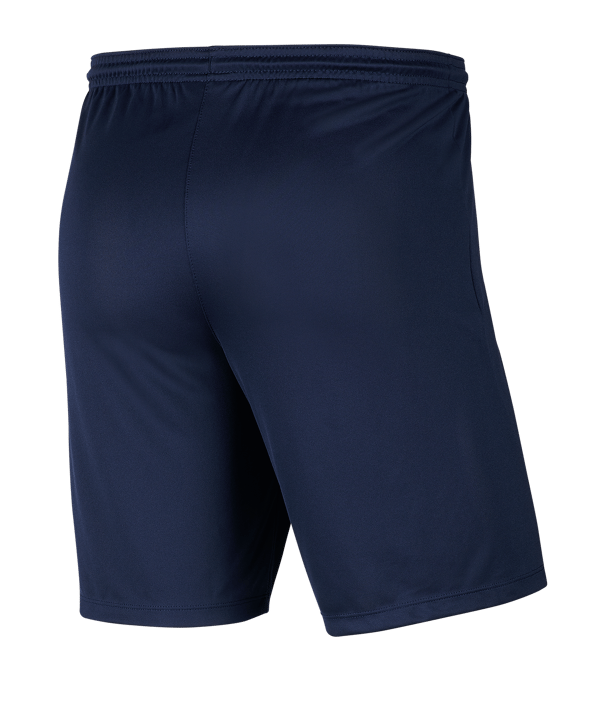 Nike Shorts Blue