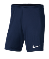 Nike Shorts Blue